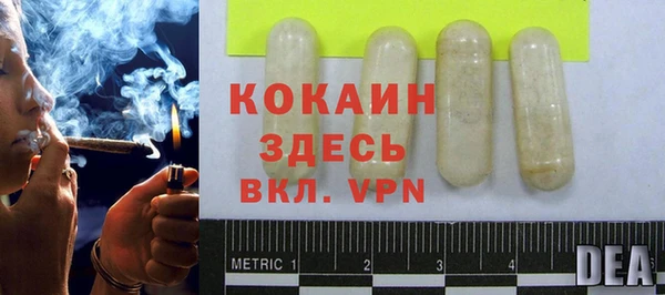 spice Арсеньев