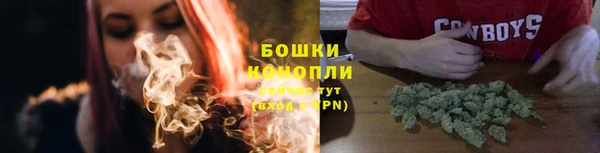 spice Арсеньев