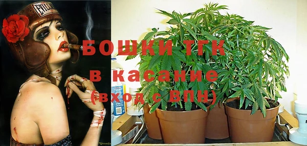 spice Арсеньев