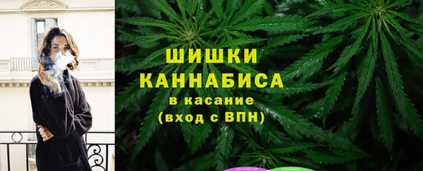 spice Арсеньев