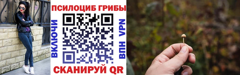 Псилоцибиновые грибы Psilocybine cubensis  Кувшиново 